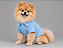Roupa para Cachorro Polo Porte Pequeno Azul bebe – Blusa 100% Algodão Canelada - Imagem 1