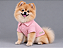 Roupa para Cachorro Polo Porte Pequeno Rosa– Blusa 100% Algodão Canelada - Imagem 1