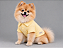 Roupa para Cachorro Polo Porte Pequeno Amarela– Blusa 100% Algodão Canelada - Imagem 1