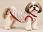 Regata Pet Listrada Vermelha Verão 50% Algodão – Roupa Fresquinha para Cachorro - Imagem 1