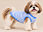Regata Pet Listrada Azul Verão 50% Algodão – Roupa Fresquinha para Cachorro - Imagem 1