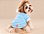 Camiseta Pet Petit Listrada Azul e Branca 50% Algodão – Gaby Feulo Moda Pet Porte Pequeno - Imagem 1