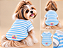 Camiseta Pet Petit Listrada Azul e Branca 50% Algodão – Gaby Feulo Moda Pet Porte Pequeno - Imagem 2