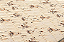 Colchão Casal Espuma D33 Pérola (138x188x20) - Polar - Imagem 3