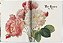 Livro The Book Of Flowers - Imagem 5