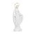 Nossa Senhora das Graças com Auréola Dourada 20 cm - Imagem 2