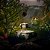 Mini Vela Voluspa Lata 25h Temple Moss - Imagem 2