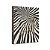 Livro Casa Cavalli Home - Capa de Zebra - Imagem 2