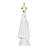 Nossa Senhora Aparecida com Coroa Dourada 20 cm - Imagem 3