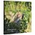Livro Experiencing Africa - Imagem 1