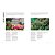 Livro Super Bloom - Imagem 2