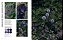 Livro Flower Power - Imagem 7