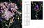Livro Flower Power - Imagem 5