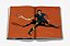 Livro Federer - Imagem 5