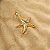 Conjunto Estrela do Mar - Imagem 5