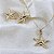 Conjunto Estrela do Mar - Imagem 1