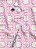Tecido Microfibra Estampa Digital Arabesco Rosa Inglês 1,55m de Largura - Imagem 1
