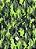 Tecido Microfibra Estampa Digital Camuflagem Tons de Verde 1,55m de Largura - Imagem 1