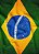 Tecido Helanca Estampa Digital Bandeira do Brasil 1,55m de Largura - Imagem 1