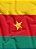 Tecido Micropercal Estampa Digital Bandeira de Camarões 1,55m de Largura - Imagem 1