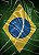 Tecido Cetim Estampa Digital Bandeira do Brasil 1,40m de Largura - Imagem 1