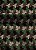 Tecido Blackout Estampa Digital Camuflada Folhas 1,35m de Largura - Imagem 1