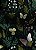 Tecido Blackout Estampa Digital Floral 387 com 1,35m de Largura - Imagem 1