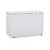 Freezer Conservador Horizontal INVERTER BIVOLT GHBS-410 BIN Gelopar - Imagem 1