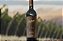 Vinho Colomé El Arenal Malbec - Imagem 3