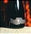 Espumante Salton Lucia Canei Brut Pinot Noir - Imagem 3