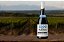 Vinho The Pledge 1000 Malbec - Imagem 3