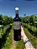Vinho Casa Marques Pereira Reserva Sangiovese - Imagem 2