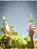 Vinho Dom Cândido Autêntico Branco Marselan Chardonnay - Imagem 4