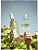 Vinho Dom Cândido Autêntico Branco Marselan Chardonnay - Imagem 2
