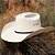 Chapéu Palha Texas Indian TXI Cowtown 20X - Imagem 1