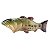 Abridor Importado Bass Fish - Imagem 5