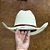 Chapéu Resistol Palha Metacalf George Strait 20x - Imagem 2