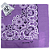 Bandana M&F Western Lilac - Imagem 2