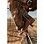 Bota Justin Austin Cognac Cowhide #BR307 - Imagem 9