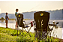 Cadeira Camping Com Porta Copo Bass Pro Shops - Navy - Imagem 4