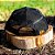 Boné Red Dirt RDHC-387 - Imagem 3