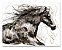Quadro Importado Horse Color RA0057 - Imagem 1