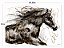 Quadro Importado Horse Color RA0057 - Imagem 2