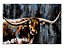 Quadro Importado Long Horn RA0115 - Imagem 1