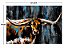 Quadro Importado Long Horn RA0115 - Imagem 2