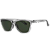 Óculos Bex Sunglasses APPY Clear Gray / Forest - Imagem 1