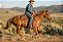 Estribo Challenger Horse Western Turquesa Poker 51262 - Imagem 5