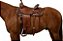 Estribo Challenger Horse Western Black 5145BK - Imagem 5