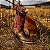 Bota Durango PRCA DDB0464 - Imagem 7