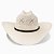 Chapéu Resistol 20X All My EX´s George Strait - Imagem 3